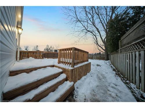 12 Carlyle Street, Brantford, ON - Outdoor