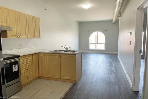 403-150 Colborne Street, Brantford, ON - Indoor Photo Showing Kitchen With Double Sink