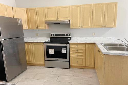 403-150 Colborne Street, Brantford, ON - Indoor Photo Showing Kitchen With Double Sink