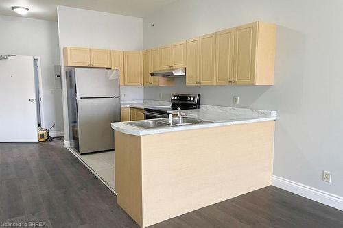 403-150 Colborne Street, Brantford, ON - Indoor Photo Showing Kitchen With Double Sink