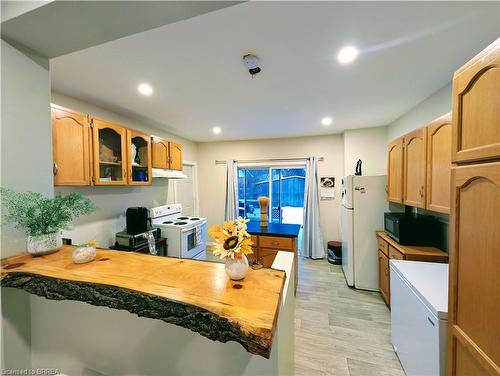 153 Brock Street, Brantford, ON - Indoor Photo Showing Kitchen