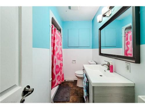 6 Bayly Drive, Paris, ON - Indoor Photo Showing Bathroom