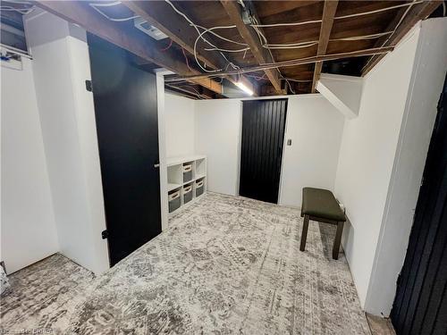 249 Erie Avenue, Brantford, ON - Indoor Photo Showing Basement