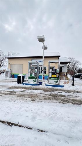 23 Wilmot Street S, Drumbo, ON 