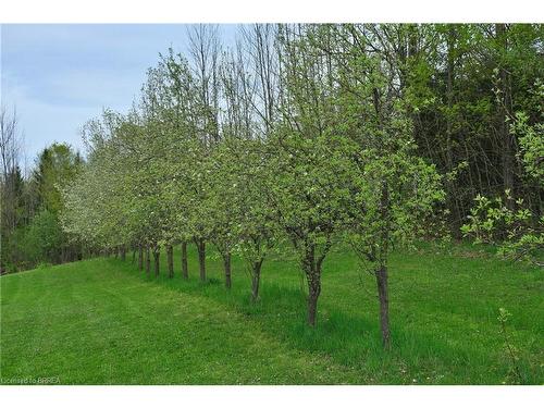 546299 Sideroad 4B, Kimberley, ON - Outdoor