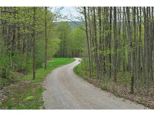 546299 Sideroad 4B, Kimberley, ON - Outdoor With View