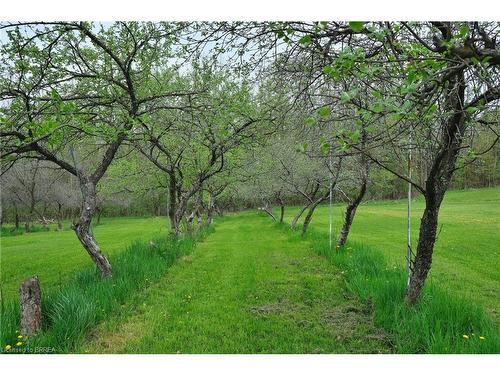 546299 Sideroad 4B, Kimberley, ON - Outdoor