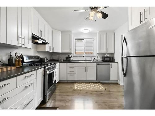 8 Sandy Row, Brantford, ON - Indoor Photo Showing Kitchen With Double Sink
