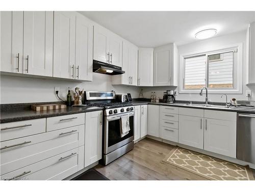 8 Sandy Row, Brantford, ON - Indoor Photo Showing Kitchen With Double Sink