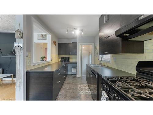 69 Lyons Avenue, Brantford, ON - Indoor Photo Showing Kitchen With Double Sink