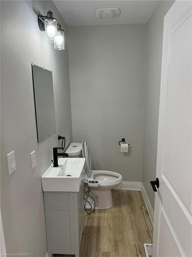 266 Dalhousie Street, Brantford, ON - Indoor Photo Showing Bathroom