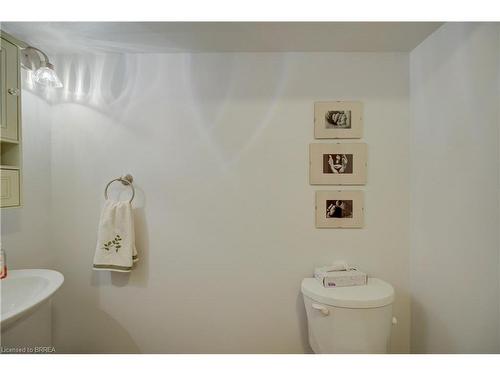 9 Max Webster Road, Brantford, ON - Indoor Photo Showing Bathroom