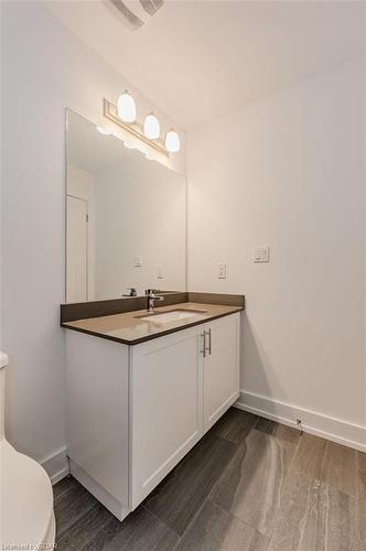 41 Windtree Way, Georgetown, ON - Indoor Photo Showing Bathroom