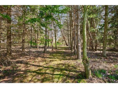 7684 Wellington 11 Road, Mapleton, ON - Outdoor With View