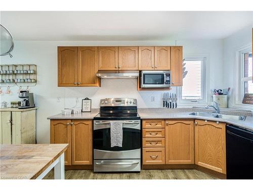 38 Grassyplain Drive, Hamilton, ON - Indoor Photo Showing Kitchen With Double Sink