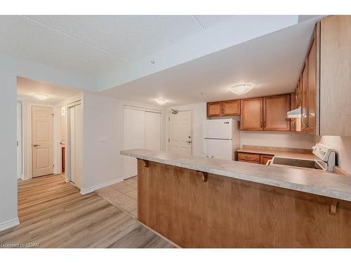 203-645 St David Street S, Fergus, ON - Indoor Photo Showing Kitchen