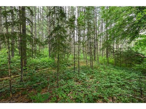 Lot 437 South River Road, Elora, ON 