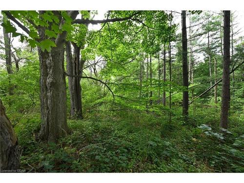 Lot 437 South River Road, Elora, ON 