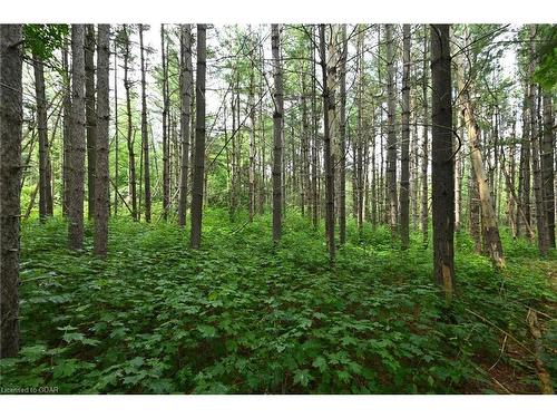 Lot 437 South River Road, Elora, ON 