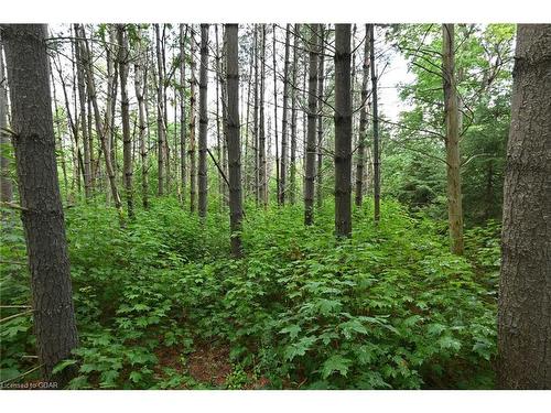 Lot 437 South River Road, Elora, ON 