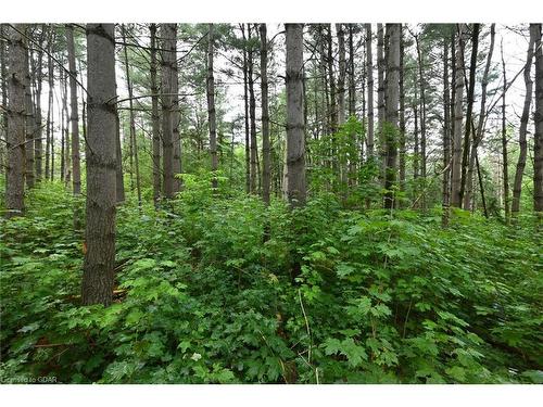 Lot 437 South River Road, Elora, ON 