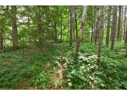 Lot 437 South River Road, Elora, ON 