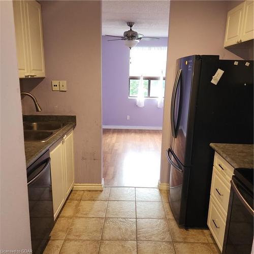 307-65 Silvercreek Parkway N, Guelph, ON - Indoor Photo Showing Kitchen With Double Sink