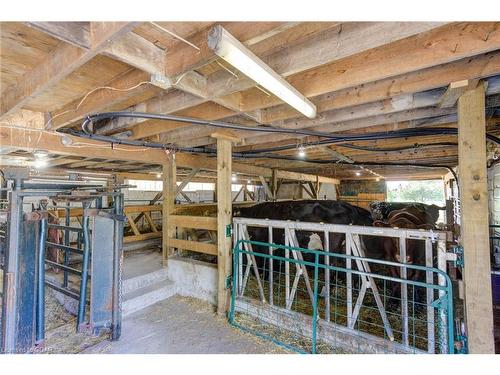 8709 Wellington Rd 16 Road, Wellington North, ON - Indoor Photo Showing Basement