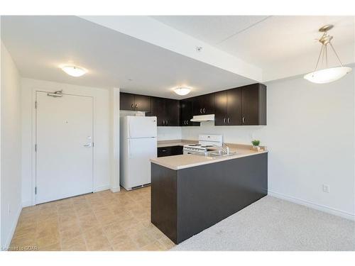 314-43 Goodwin Drive, Guelph, ON - Indoor Photo Showing Kitchen