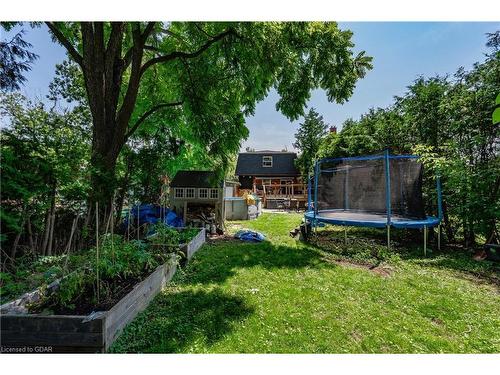 24 Craig Street, Brampton, ON - Outdoor With Backyard