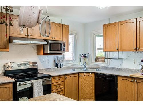 38 Grassyplain Drive, Hamilton, ON - Indoor Photo Showing Kitchen With Double Sink