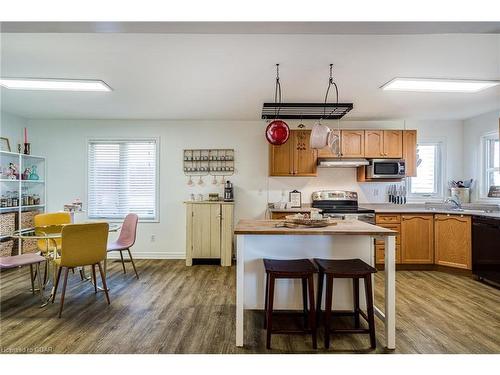 38 Grassyplain Drive, Hamilton, ON - Indoor Photo Showing Kitchen