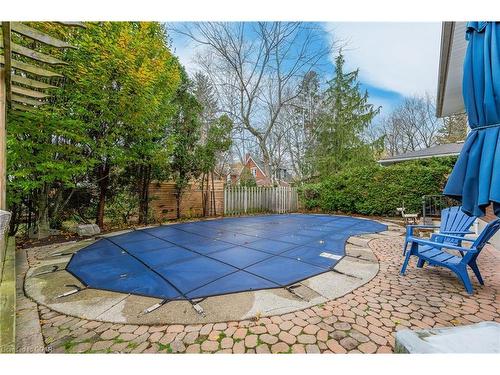 11 Mutual Street, Guelph, ON - Outdoor With In Ground Pool With Backyard