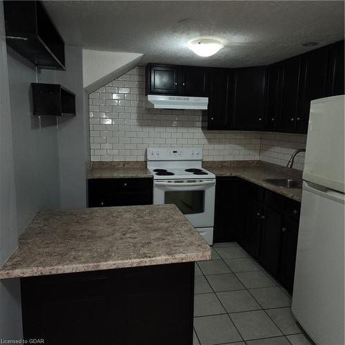 Bsmt-338 Victoria Road N, Guelph, ON - Indoor Photo Showing Kitchen