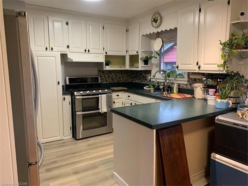 10 Collingwood Street, Guelph, ON - Indoor Photo Showing Kitchen With Stainless Steel Kitchen With Double Sink