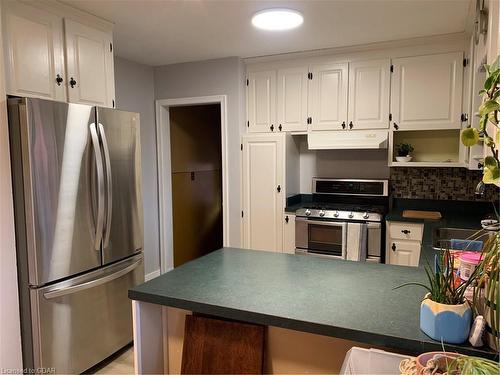 10 Collingwood Street, Guelph, ON - Indoor Photo Showing Kitchen With Stainless Steel Kitchen