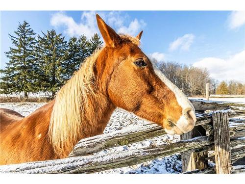 3485 Old Beverly Road, Cambridge, ON - Outdoor With View