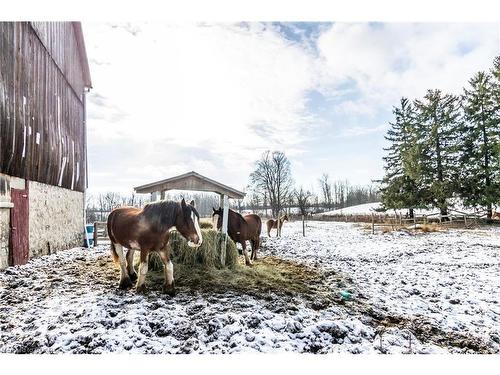 3485 Old Beverly Road, Cambridge, ON - Outdoor