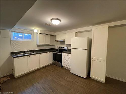 75 Cedar Street, Guelph, ON - Indoor Photo Showing Kitchen With Double Sink