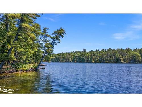 38 Sr405 Severn River Shore, Muskoka Lakes Twp, ON - Outdoor With Body Of Water With View