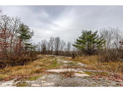 Lot 30 Birch Acres Drive, Honey Harbour, ON 