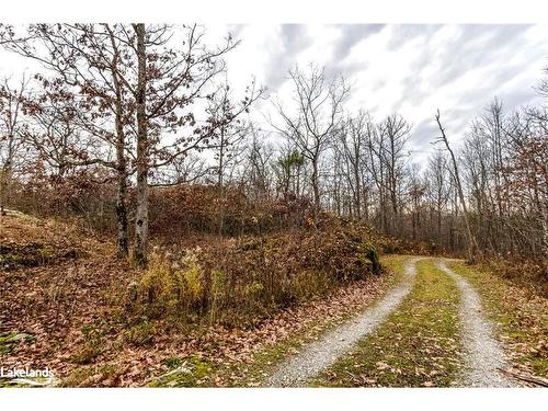 Lot 30 Birch Acres Drive, Honey Harbour, ON 