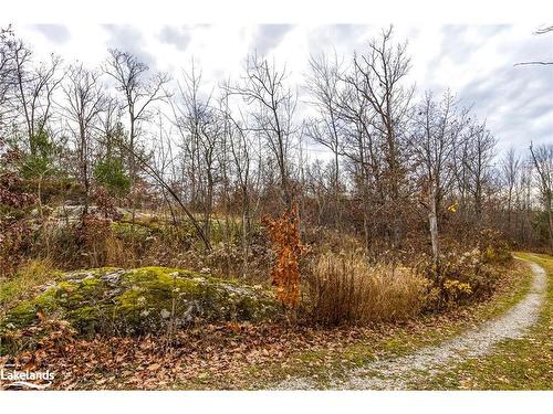 Lot 30 Birch Acres Drive, Honey Harbour, ON 