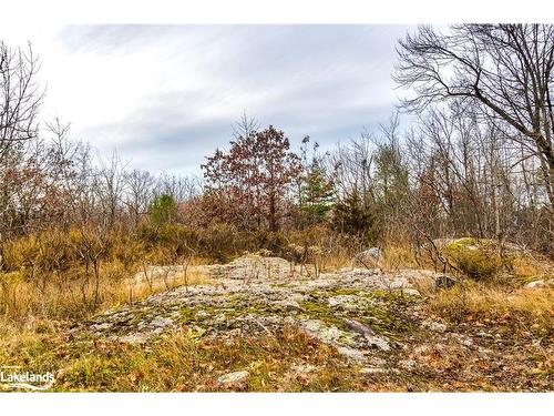 Lot 30 Birch Acres Drive, Honey Harbour, ON 