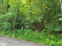 29-29 Mount Vernon Trail, Huntsville, ON 