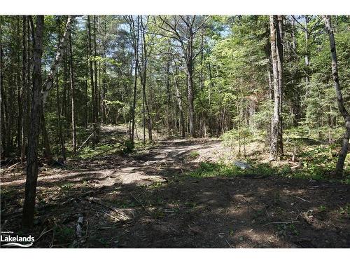 Lot 1 Fairy Falls Road, Baysville, ON 