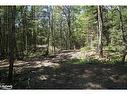 Lot 1 Fairy Falls Road, Baysville, ON 