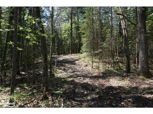 Lot 1 Fairy Falls Road, Baysville, ON 