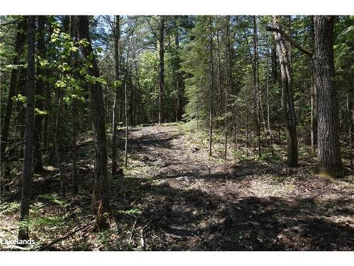 Lot 1 Fairy Falls Road, Baysville, ON 