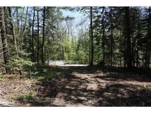 Lot 1 Fairy Falls Road, Baysville, ON 